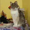 Отзыв от Ида Тихомирова